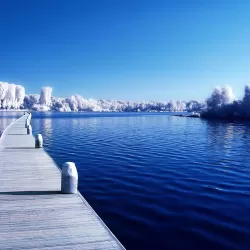 198
