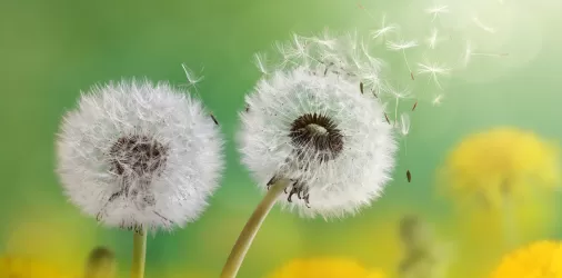 12880