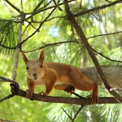 98